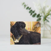 Dog met Pearl Ketting Briefkaart (Staand voorkant)