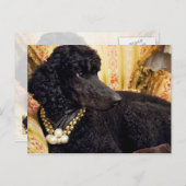 Dog met Pearl Ketting Briefkaart (Voorkant / Achterkant)