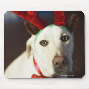 Dog met rendierantaarns muismat
