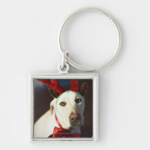 Dog met rendierantaarns sleutelhanger