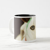 Dog met rendierantaarns tweekleurige koffiemok (Voorkant links)