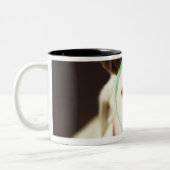 Dog met rendierantaarns tweekleurige koffiemok (Links)