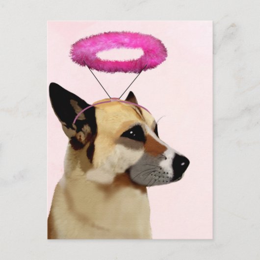 Dog met roze halo briefkaart (Voorkant)