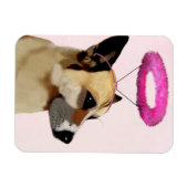 Dog met roze halo magneet (Horizontaal)