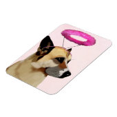 Dog met roze halo magneet (Linkerzijde)