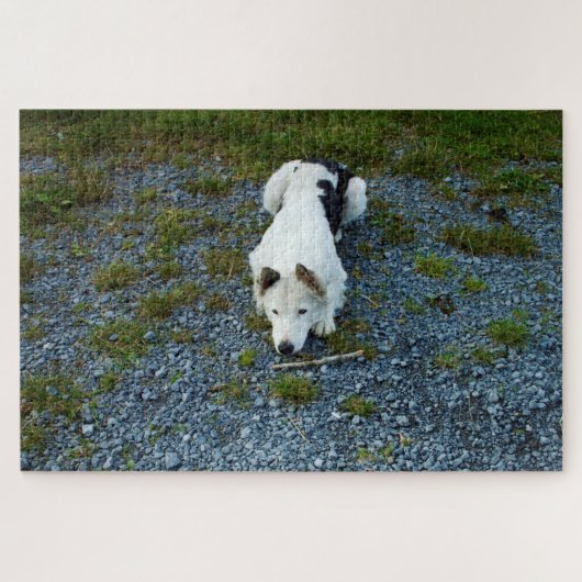 Dog met stok legpuzzel (Horizontaal)