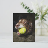 Dog met Tennis Ball Briefkaart (Staand voorkant)