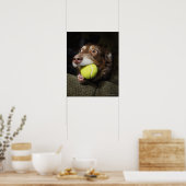 Dog met Tennis Ball Poster (Keuken)