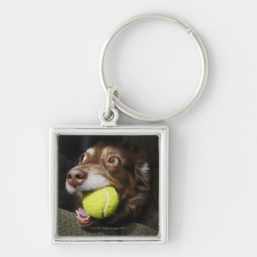 Dog met Tennis Ball Sleutelhanger (Voorkant)