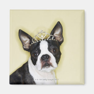 Dog met tiara magneet