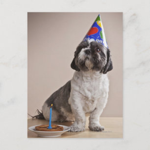 Dog met verjaardag briefkaart
