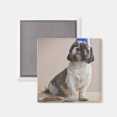 Dog met verjaardag magneet (Voorkant / Achterkant)