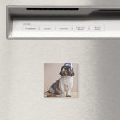 Dog met verjaardag magneet (Insitu (Vaatwasser))