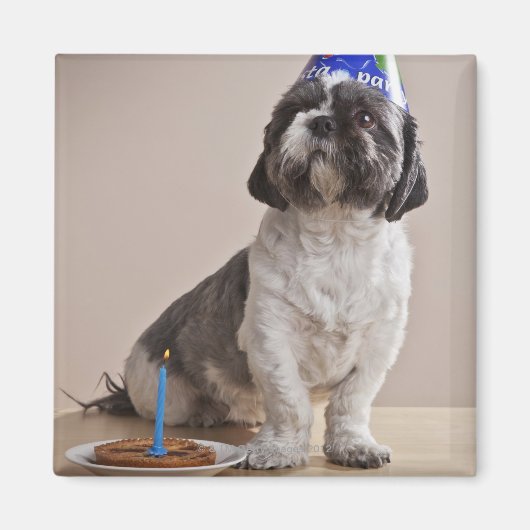 Dog met verjaardag magneet (Voorkant)