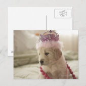 Dog met versieringen op bed briefkaart (Voorkant / Achterkant)