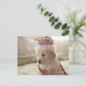 Dog met versieringen op bed briefkaart (Staand voorkant)