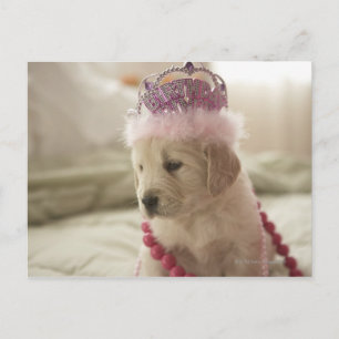 Dog met versieringen op bed briefkaart