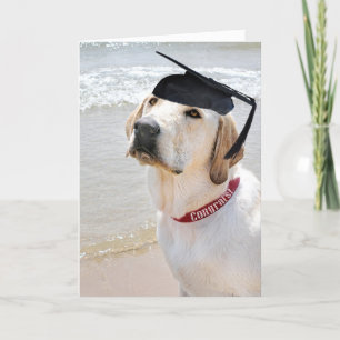 Dog met zwarte stuifmep kaart