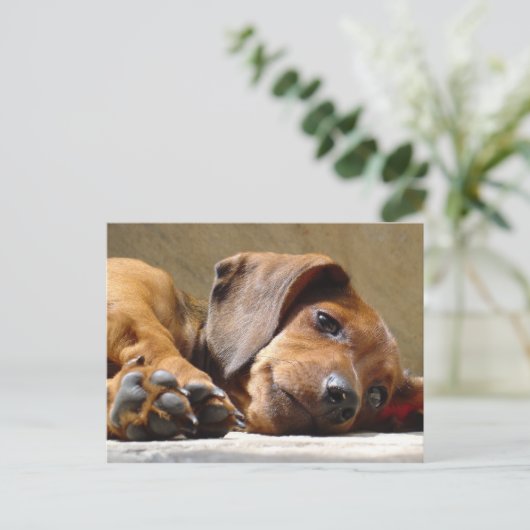 Dog mist je briefkaart (Staand voorkant)