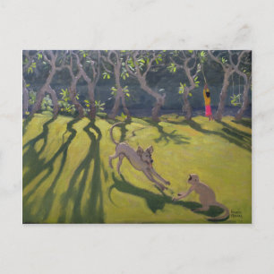 Dog & Monkey 1998 Briefkaart