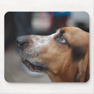 Dog mousepad muismat