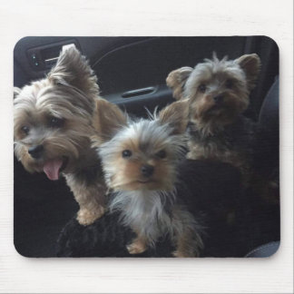 Dog Mousepad Muismat