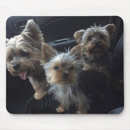 Dog Mousepad Muismat (Voorkant)