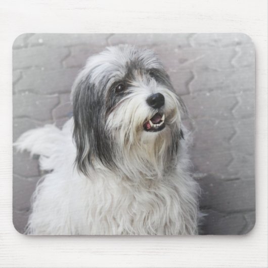 Dog Muismat (Voorkant)