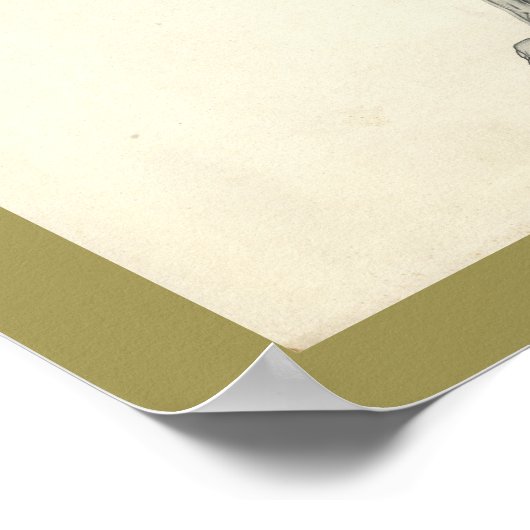 Dog Muscle Veterinary Anatomie Print (Hoek)