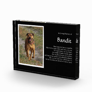 Dog Name en Photo Memorial Fotoblokken