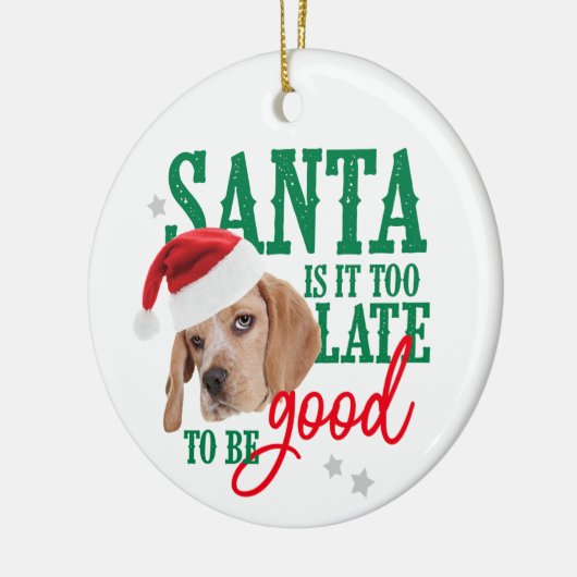 Dog Naughty of Nice Ornament (Links)