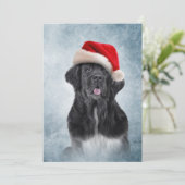Dog Newfoundland in het rode pet van de kerstman Kaart (Staand voorkant)