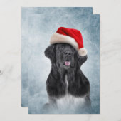 Dog Newfoundland in het rode pet van de kerstman Kaart (Voorkant / Achterkant)