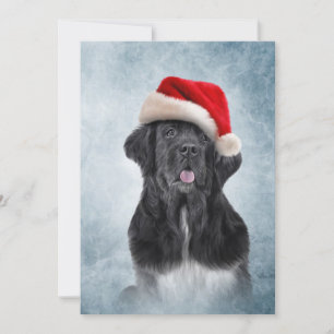 Dog Newfoundland in het rode pet van de kerstman Kaart