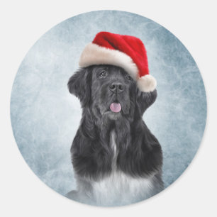 Dog Newfoundland in het rode pet van de kerstman Ronde Sticker