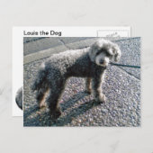 Dog noemde Louis Briefkaart (Voorkant / Achterkant)