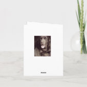 Dog Note Card voor Black and White Labrador Retrie Kaart (Achterkant)