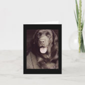 Dog Note Card voor Black and White Labrador Retrie Kaart (Voorkant)