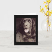 Dog Note Card voor Black and White Labrador Retrie Kaart (Gele Bloem)