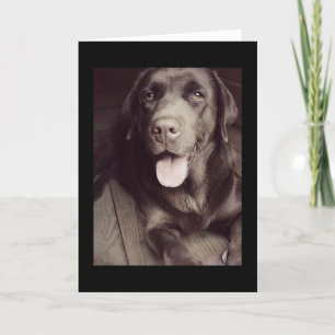Dog Note Card voor Black and White Labrador Retrie Kaart