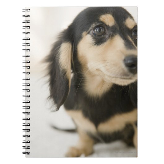 Dog Notitieboek (Voorkant)