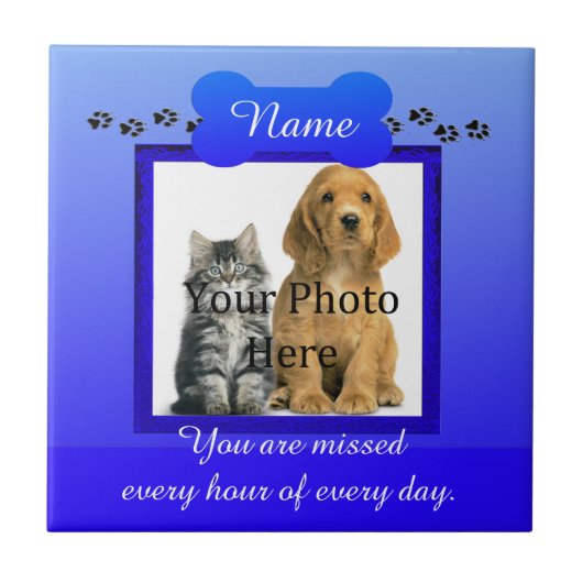 Dog of Cat Blue Monumental Tegeltje (Voorkant)