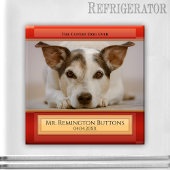 Dog of Cat Keepomwille Memorial Custom Photo Magne Magneet