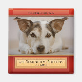 Dog of Cat Keepomwille Memorial Custom Photo Magne Magneet (Voorkant)