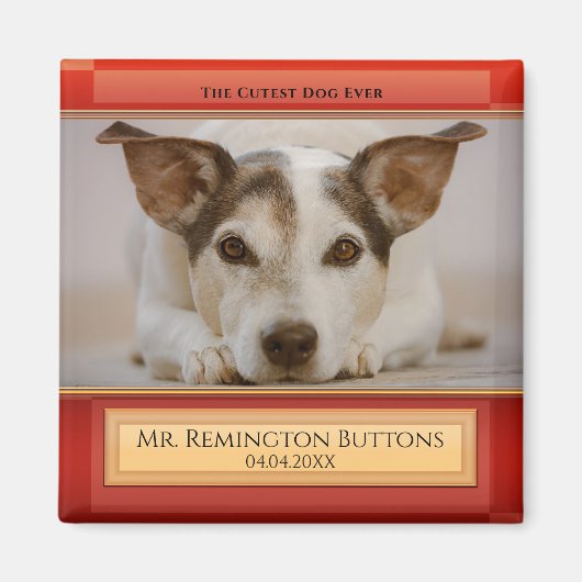 Dog of Cat Keepomwille Memorial Custom Photo Magne Magneet (Voorkant)