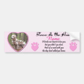 Dog of Cat Memorial Pink Bumpersticker (Voorkant)