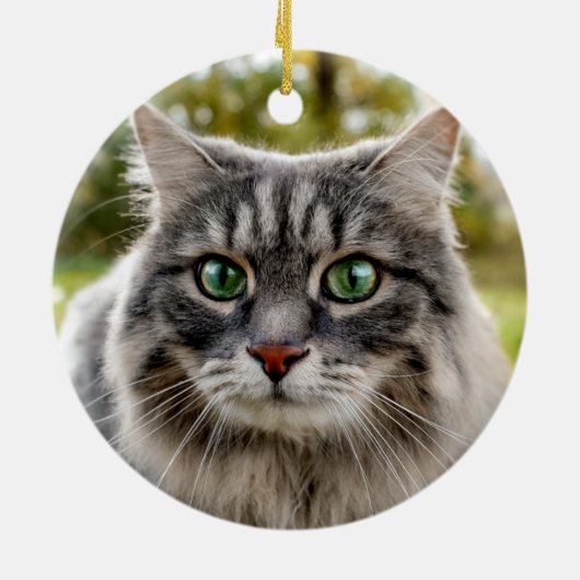 Dog of Cat Pet Memorial Schattig Rustige foto Keramisch Ornament (Achterkant)