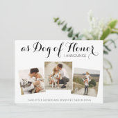 Dog of Honor Change Plans Wedding Announcement Save The Date (Staand voorkant)