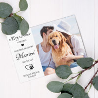 Dog of Honor Personalized Pet Photo Dog Wedding