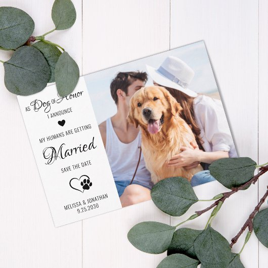 Dog of Honor Personalized Pet Photo Dog Wedding Save The Date